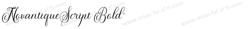 NovantiqueScript Bold字体转换